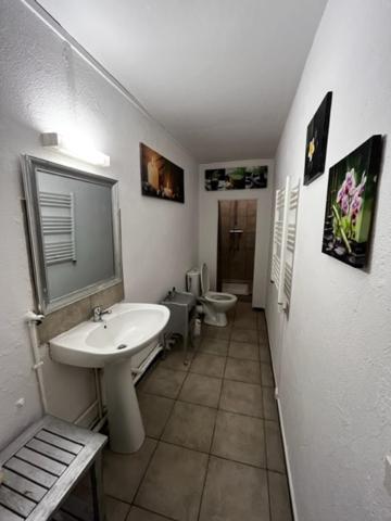 Cosy House T3 City Center, Museum, Place Carnot Carcassonne Exteriér fotografie